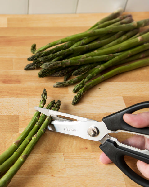 Kitchen Scissors: Patented Take-Apart Stainless Steel Utility Kitchen –  Cestari Kitchen